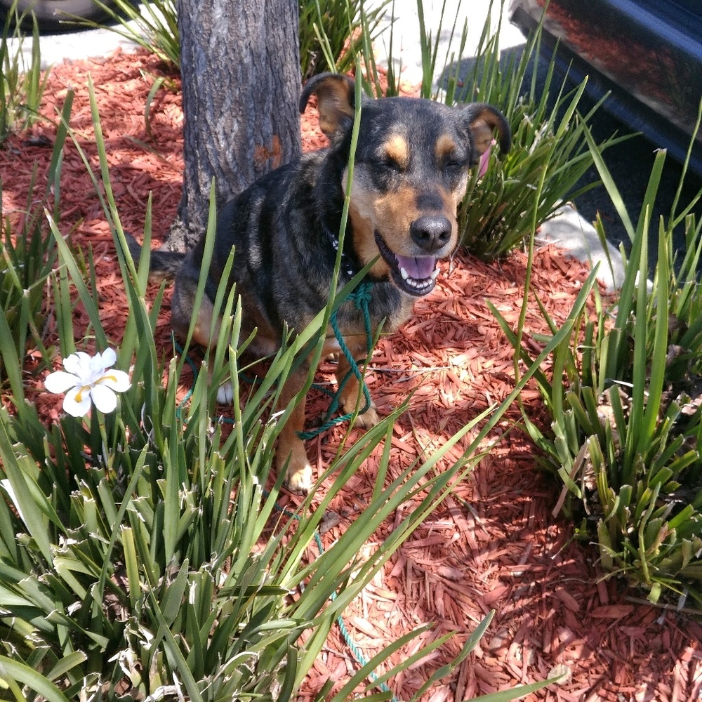 Meet your Posher, Michelle